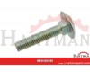 Screw 6X30 5732 4.6 ZN