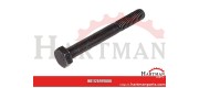 Śruba M8x65