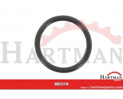 O-ring