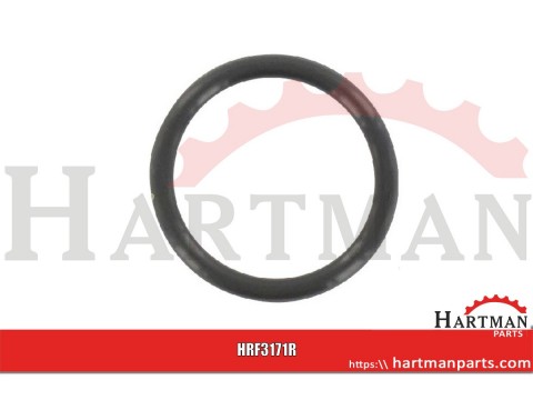 O-ring