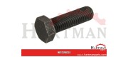 Śruba M24x2x80 10.9