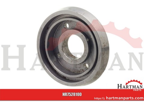 +Sealing plate