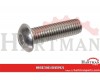 Wkręt grzybkowy A2 Kramp, M5 x 12 mm