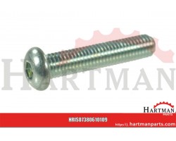 Wkręt grzybkowy kl. 10.9 ocynk Kramp, M6 x 10 mm