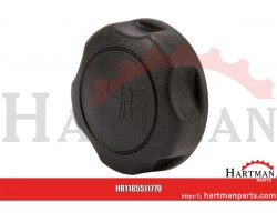 Cap fuel filter