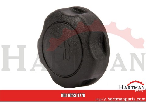 Cap fuel filter