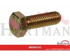 Śruba z łbem 6-k.M8x25 8,8
