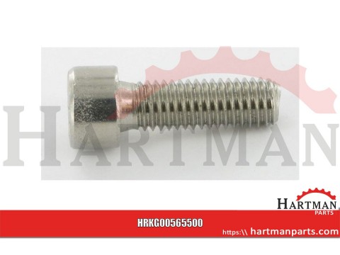 Śruby imbusowe M8x25 V2A