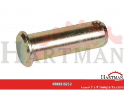 Trzpień M20 x 53,5