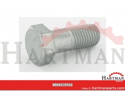 Śruba M24x60