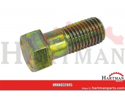 Śruba 20x45