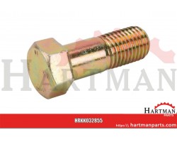 Śruba M 20×55 10,9