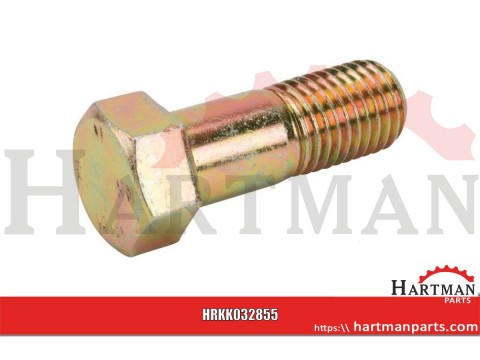 Śruba M 20×55 10,9