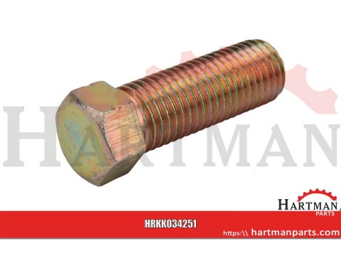Śruba ustalająca m16x50