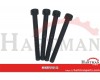 Zestaw śrub M5X145 (4) NG6