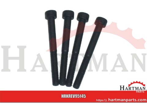 Zestaw śrub M5X145 (4) NG6