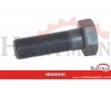 Śruba M 18×55×1,5 12,9