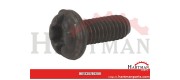 Śruba TX M4x10