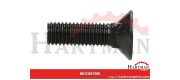 Śruba płużna 4-kątna z podsadzeniem DIN 608, M12 x 40 mm kl. 12.9 z nakrętką