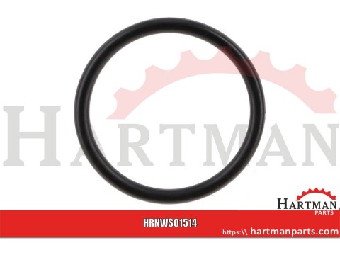 Pierścień o-ring