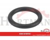 Pierścień uszczelniający O-ring 17x3 EPDM