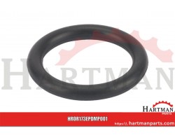 Pierścień uszczelniający O-ring 17x3 EPDM