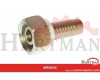 Końcówka DN10-M16x1.5-10L