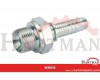 Końcówka DN10-3/8 BSP