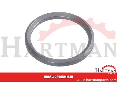 Pierścień uszczelniający RSWV metalowy M18 x 1,5