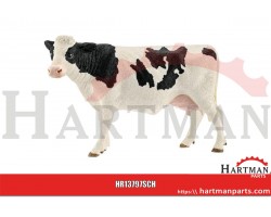 Krowa Holstein