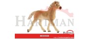 Źrebię Haflinger
