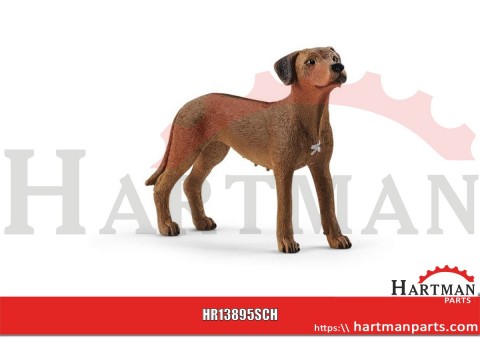 Pies Rhodesian Ridgeback