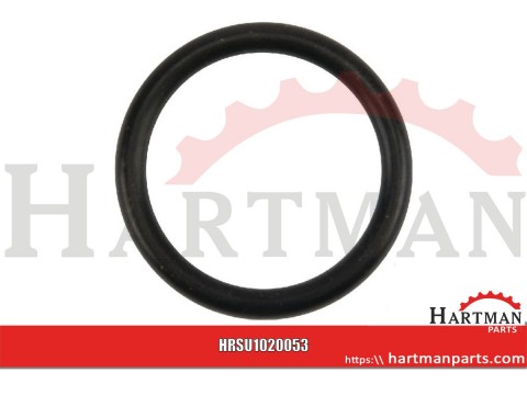 Pierścień uszczelniający o-ring 19x2.5mm Neopren czarny Suevia