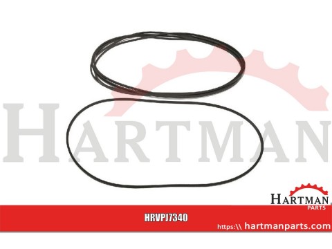 Pierścień uszczelniający o-ring