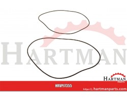 Pierścień uszczelniający hamulca