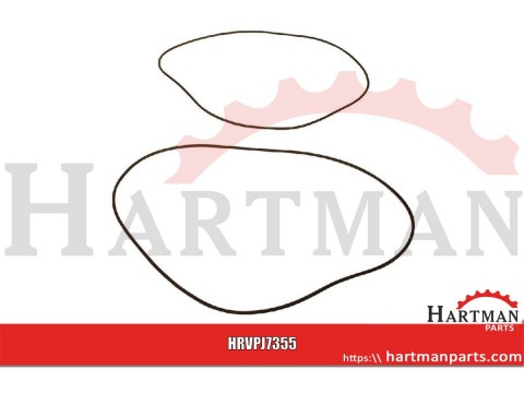 Pierścień uszczelniający hamulca