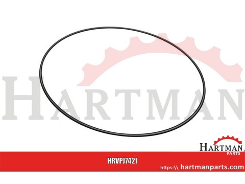 Zestaw o-ringów hamulca