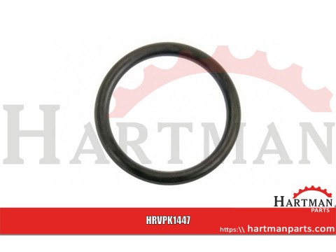 Pierścień uszczelniający o-ring