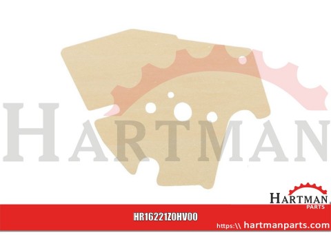 VERGASERDICHTUNG