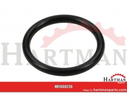 Pierścień uszczelniający o-ring 13x2mm HNBR czarny Annovi Reverberi