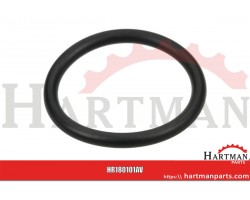 Pierścień uszczelniający o-ring 17.5x2mm Viton czarny Annovi Reverberi