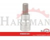 Nasadka imbus 1/2", 12 mm
