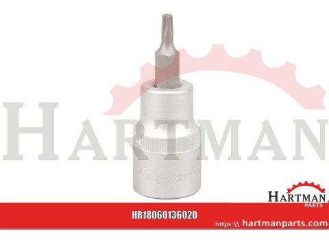 Nasadka Torx 1/2", TX 20