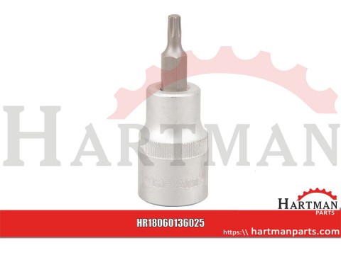 Nasadka Torx 1/2", TX 25