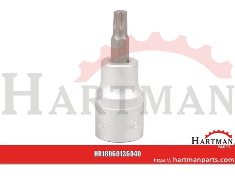 Nasadka Torx 1/2", TX 40