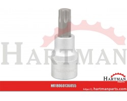 Nasadka Torx 1/2", TX 55