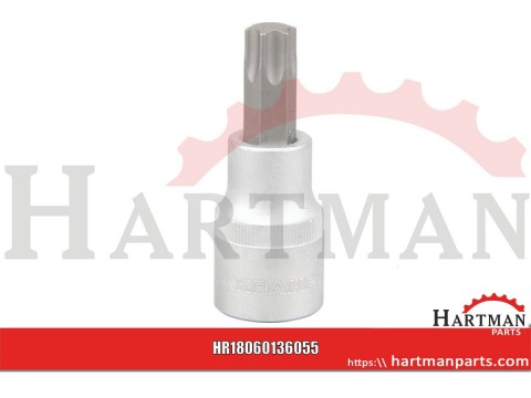 Nasadka Torx 1/2", TX 55