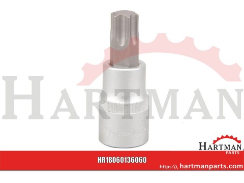 Nasadka Torx 1/2", TX 60