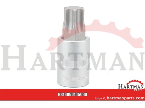 Nasadka Torx 1/2", TX 80