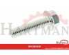 Screw-hex wz lock fln